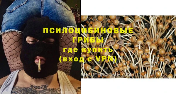 спайс Алексеевка