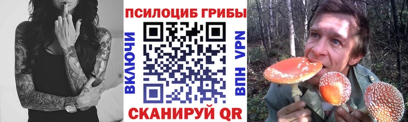 Галлюциногенные грибы прущие грибы  дарнет шоп  Лагань 